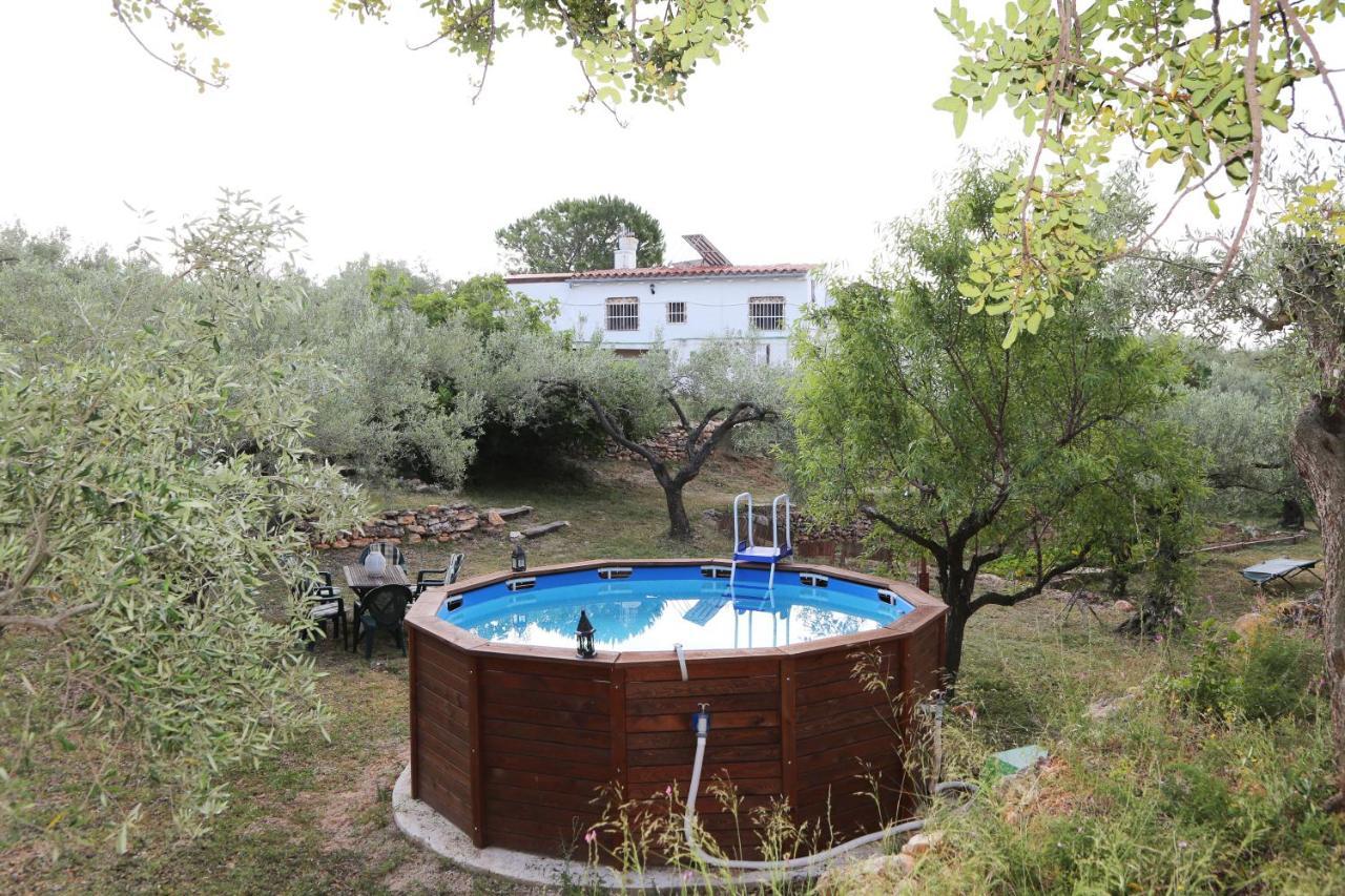 Yurta Mongola Delta Del Ebro Hotel Camarles Exterior foto