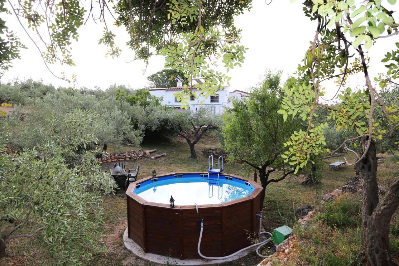 Yurta Mongola Delta Del Ebro Hotel Camarles Exterior foto