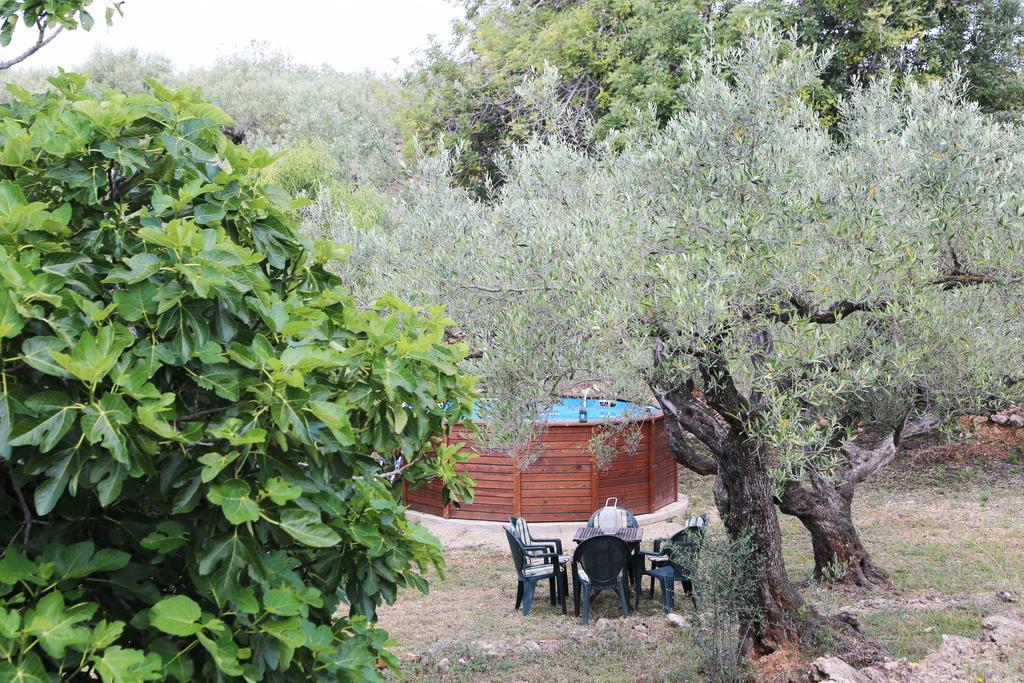 Yurta Mongola Delta Del Ebro Hotel Camarles Exterior foto