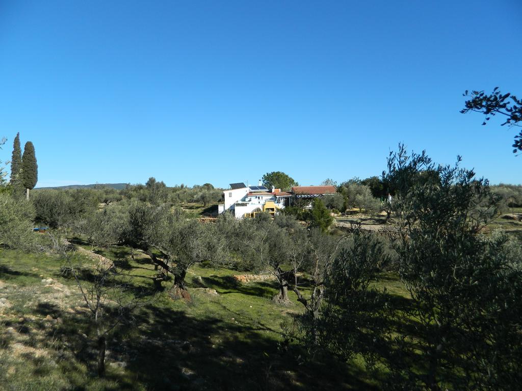 Yurta Mongola Delta Del Ebro Hotel Camarles Exterior foto