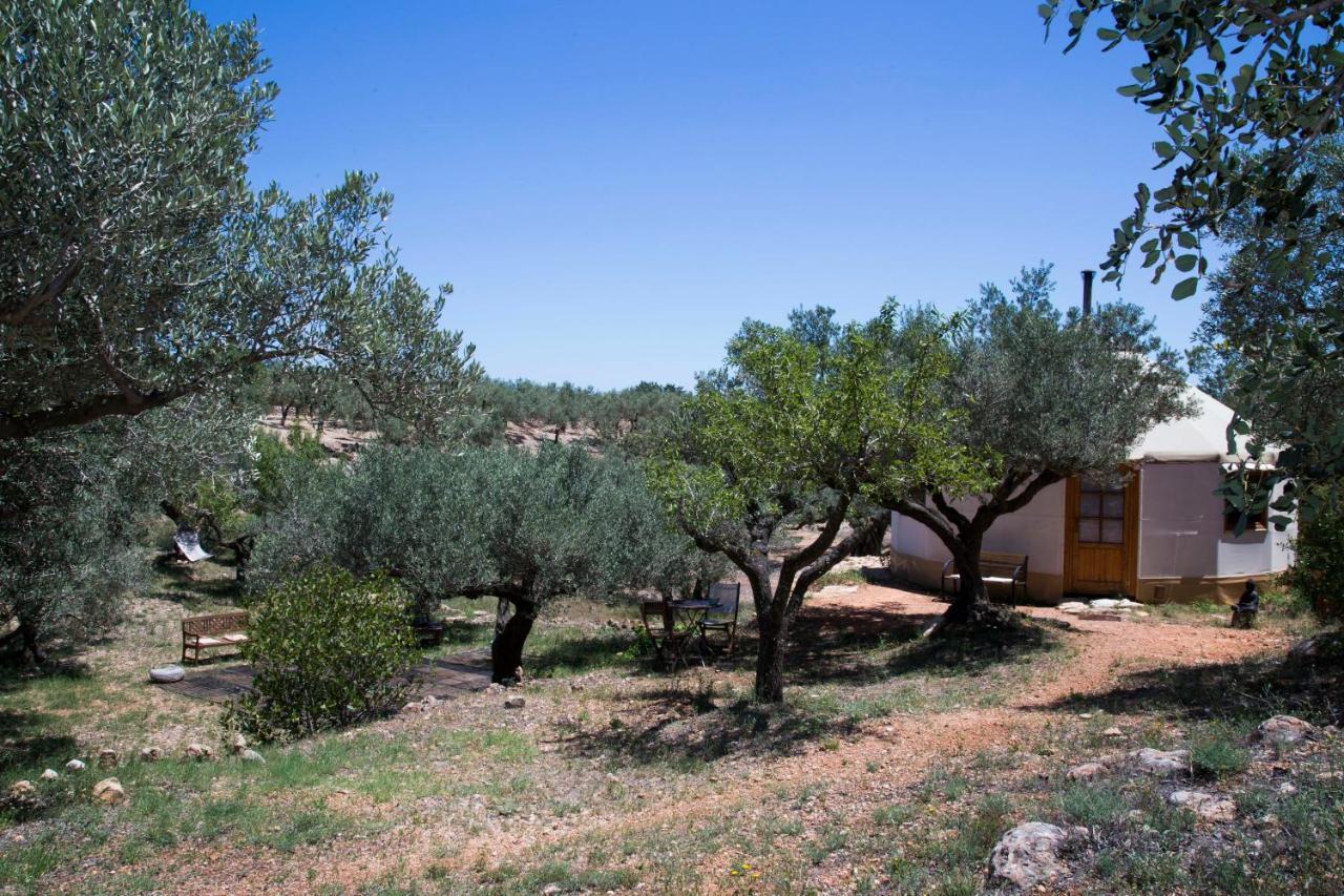 Yurta Mongola Delta Del Ebro Hotel Camarles Exterior foto