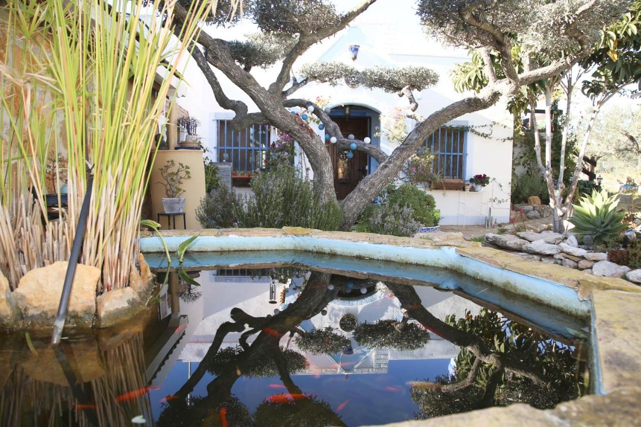 Yurta Mongola Delta Del Ebro Hotel Camarles Exterior foto